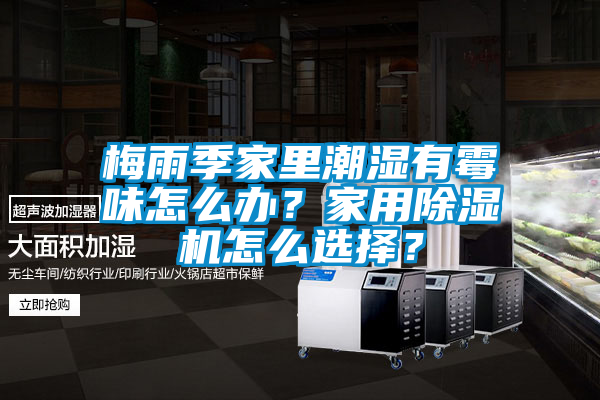 梅雨季家里潮濕有霉味怎么辦？家用除濕機怎么選擇？