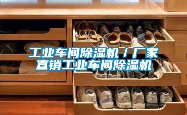 工業(yè)車(chē)間除濕機(jī)／廠家直銷(xiāo)工業(yè)車(chē)間除濕機(jī)