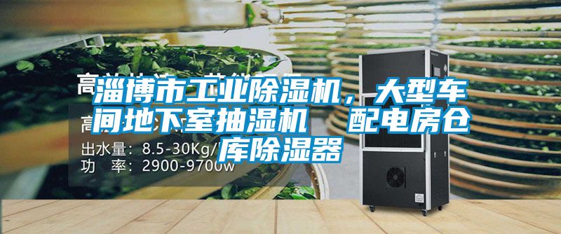 淄博市工業(yè)除濕機，大型車間地下室抽濕機  配電房倉庫除濕器