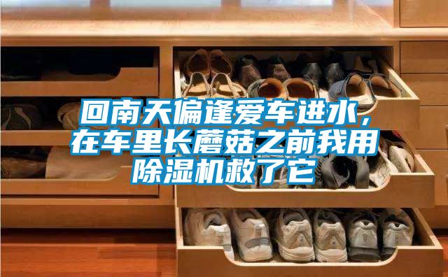 回南天偏逢愛車進(jìn)水，在車?yán)镩L蘑菇之前我用除濕機(jī)救了它