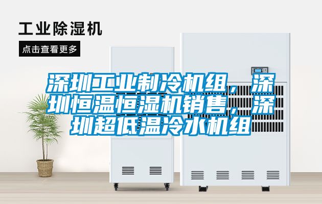 深圳工業(yè)制冷機(jī)組，深圳恒溫恒濕機(jī)銷售，深圳超低溫冷水機(jī)組