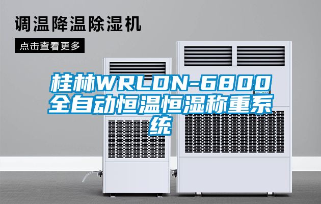 桂林WRLDN-6800全自動(dòng)恒溫恒濕稱(chēng)重系統(tǒng)