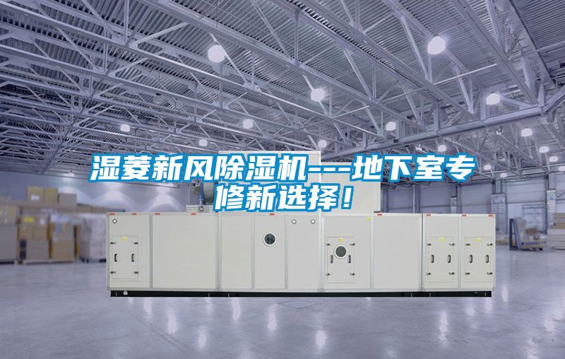 濕菱新風除濕機---地下室專修新選擇！