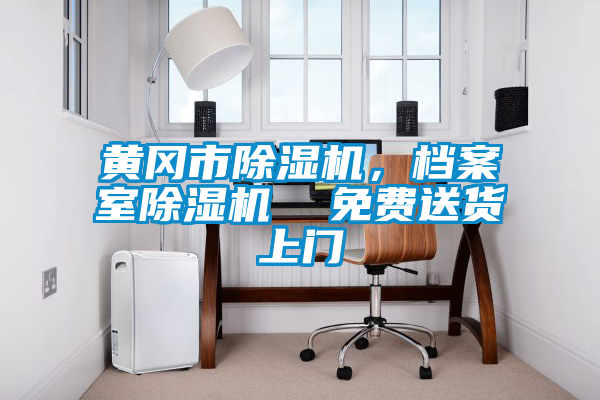黃岡市除濕機，檔案室除濕機  免費送貨上門