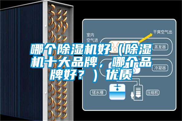 哪個除濕機好（除濕機十大品牌，哪個品牌好？）優(yōu)質(zhì)