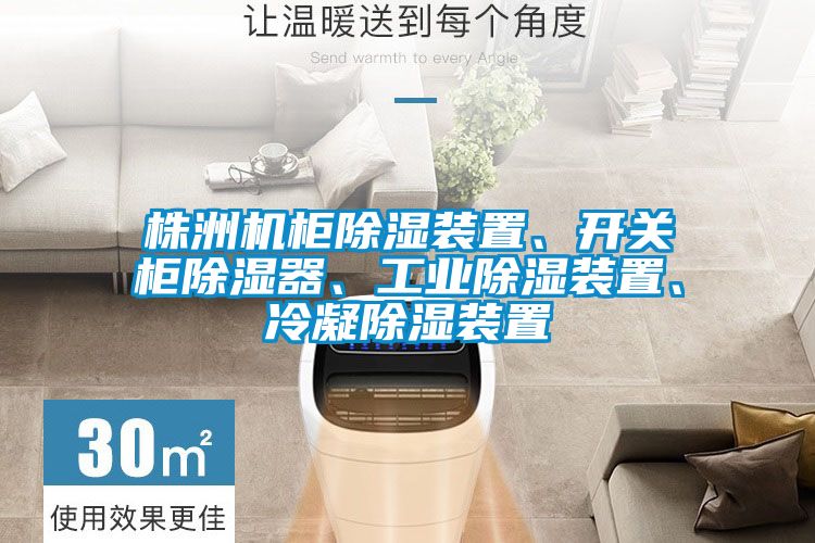 株洲機柜除濕裝置、開關(guān)柜除濕器、工業(yè)除濕裝置、冷凝除濕裝置