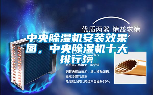 中央除濕機(jī)安裝效果圖，中央除濕機(jī)十大排行榜