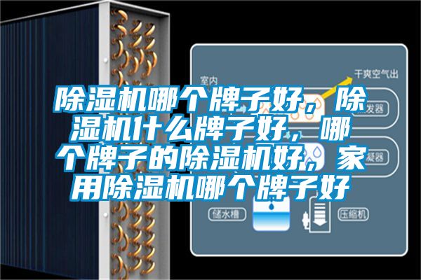 除濕機(jī)哪個(gè)牌子好，除濕機(jī)什么牌子好，哪個(gè)牌子的除濕機(jī)好，家用除濕機(jī)哪個(gè)牌子好