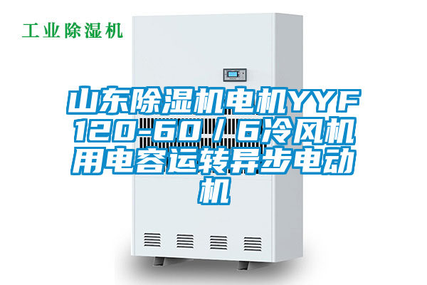 山東除濕機(jī)電機(jī)YYF120-60/6冷風(fēng)機(jī)用電容運(yùn)轉(zhuǎn)異步電動(dòng)機(jī)