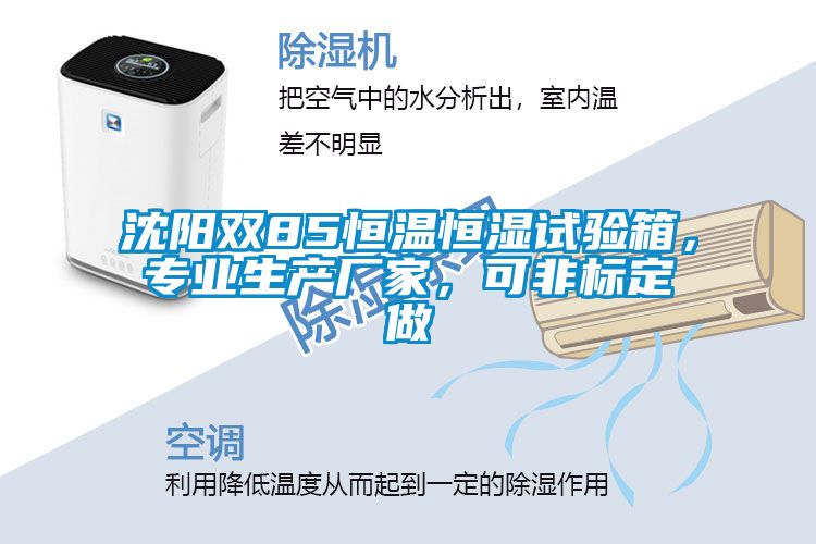 沈陽(yáng)雙85恒溫恒濕試驗(yàn)箱，專業(yè)生產(chǎn)廠家，可非標(biāo)定做