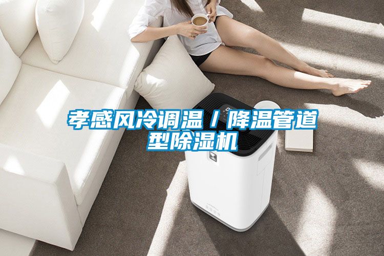 孝感風冷調(diào)溫/降溫管道型除濕機