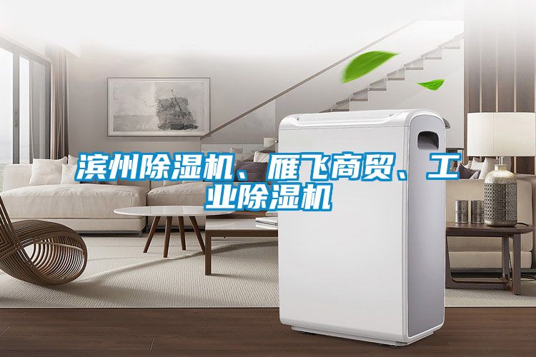 濱州除濕機、雁飛商貿(mào)、工業(yè)除濕機
