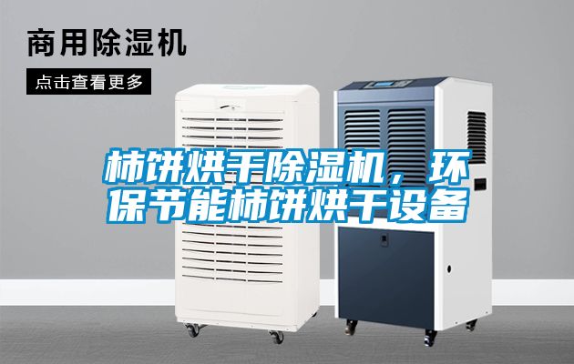 柿餅烘干除濕機(jī)，環(huán)保節(jié)能柿餅烘干設(shè)備