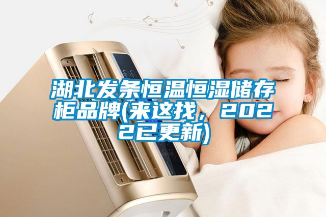 湖北發(fā)條恒溫恒濕儲(chǔ)存柜品牌(來這找，2022已更新)