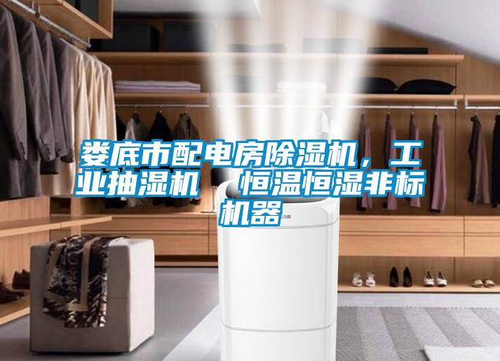 婁底市配電房除濕機(jī)，工業(yè)抽濕機(jī)  恒溫恒濕非標(biāo)機(jī)器