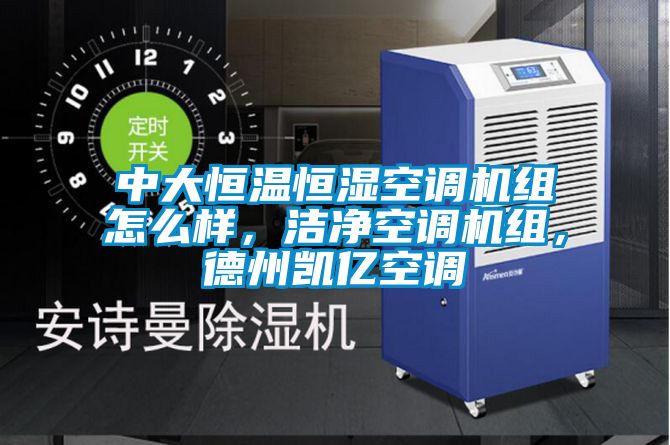 中大恒溫恒濕空調(diào)機(jī)組怎么樣，潔凈空調(diào)機(jī)組，德州凱億空調(diào)