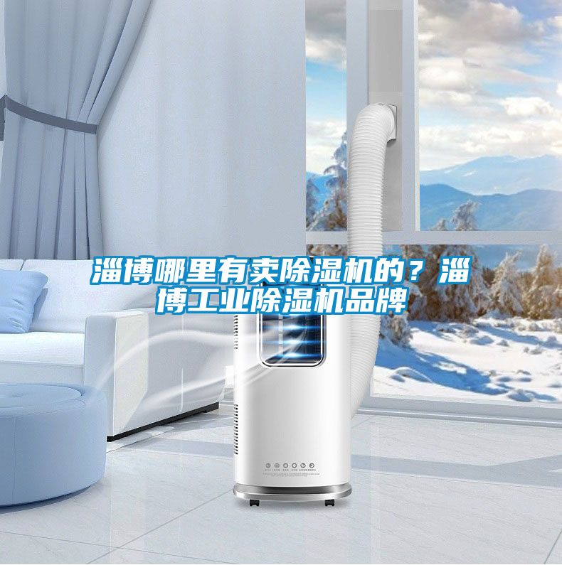 淄博哪里有賣除濕機(jī)的？淄博工業(yè)除濕機(jī)品牌