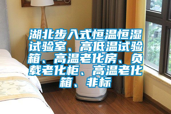 湖北步入式恒溫恒濕試驗(yàn)室、高低溫試驗(yàn)箱、高溫老化房、負(fù)載老化柜、高溫老化箱、非標(biāo)