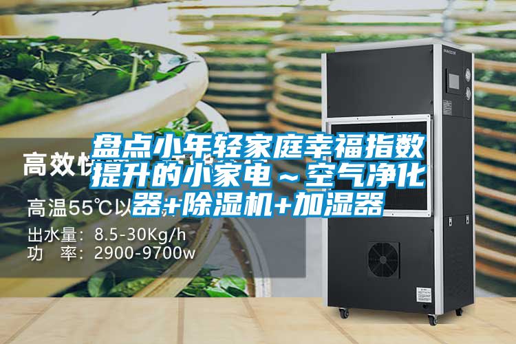 盤點(diǎn)小年輕家庭幸福指數(shù)提升的小家電~空氣凈化器+除濕機(jī)+加濕器