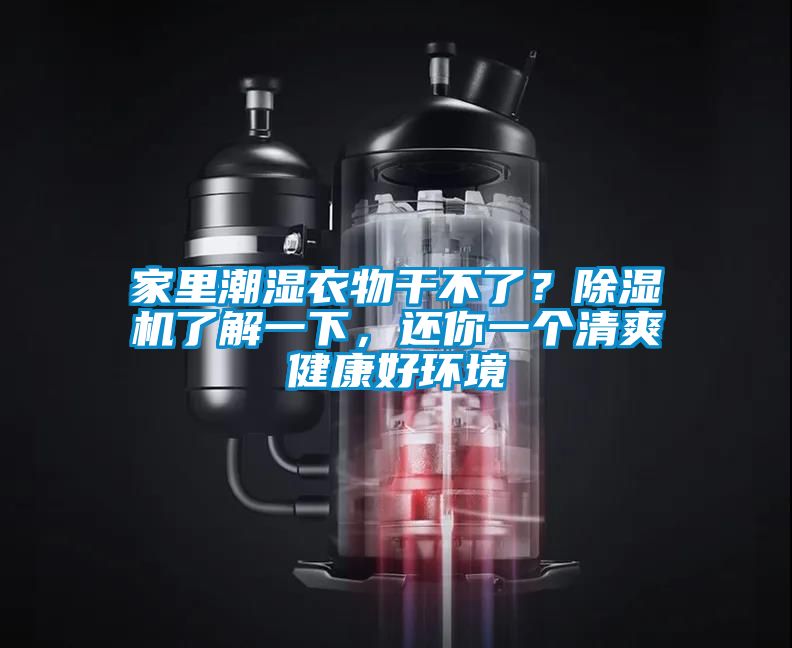 家里潮濕衣物干不了？除濕機(jī)了解一下，還你一個清爽健康好環(huán)境