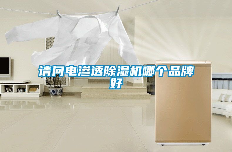 請問電滲透除濕機(jī)哪個(gè)品牌好