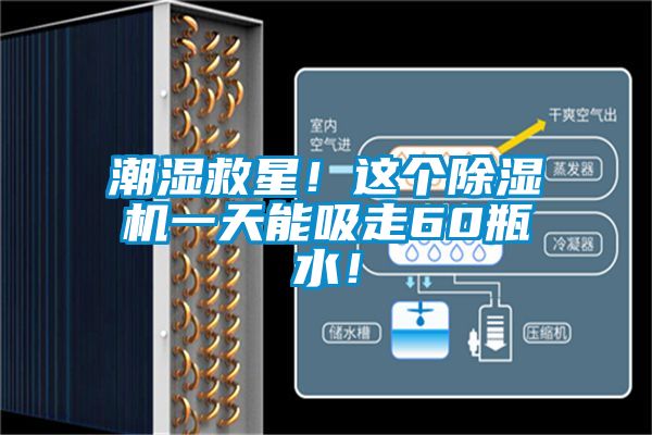 潮濕救星！這個(gè)除濕機(jī)一天能吸走60瓶水！