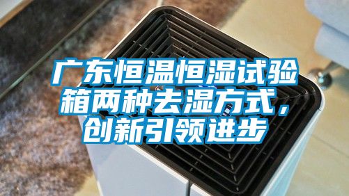廣東恒溫恒濕試驗箱兩種去濕方式，創(chuàng)新引領進步