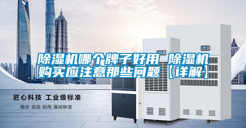 除濕機(jī)哪個(gè)牌子好用 除濕機(jī)購(gòu)買應(yīng)注意那些問(wèn)題【詳解】