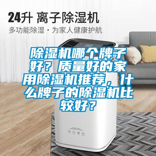 除濕機(jī)哪個(gè)牌子好？質(zhì)量好的家用除濕機(jī)推薦，什么牌子的除濕機(jī)比較好？