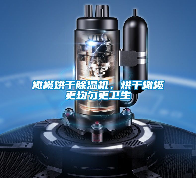 橄欖烘干除濕機(jī)，烘干橄欖更均勻更衛(wèi)生