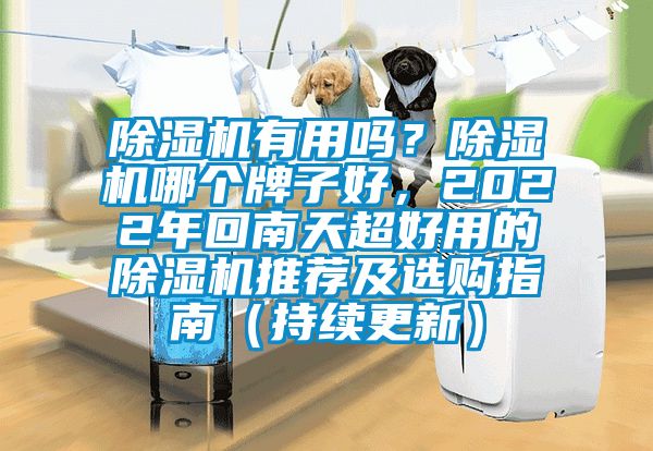 除濕機(jī)有用嗎？除濕機(jī)哪個牌子好，2022年回南天超好用的除濕機(jī)推薦及選購指南（持續(xù)更新）