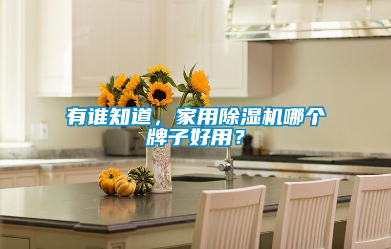 有誰知道，家用除濕機(jī)哪個(gè)牌子好用？