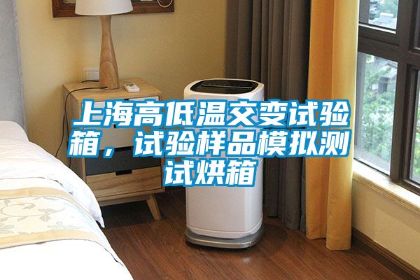 上海高低溫交變試驗箱，試驗樣品模擬測試烘箱