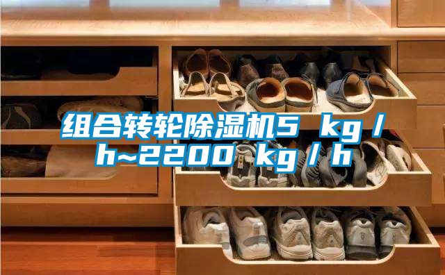 組合轉(zhuǎn)輪除濕機(jī)5 kg/h~2200 kg/h