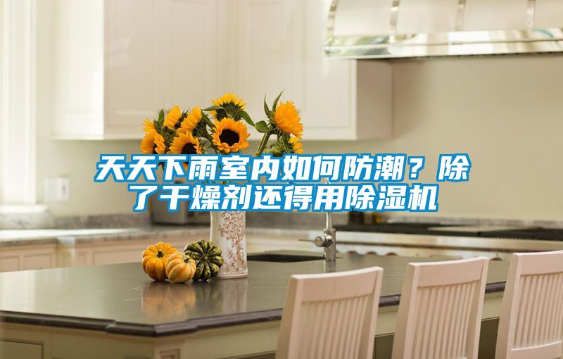 天天下雨室內(nèi)如何防潮？除了干燥劑還得用除濕機