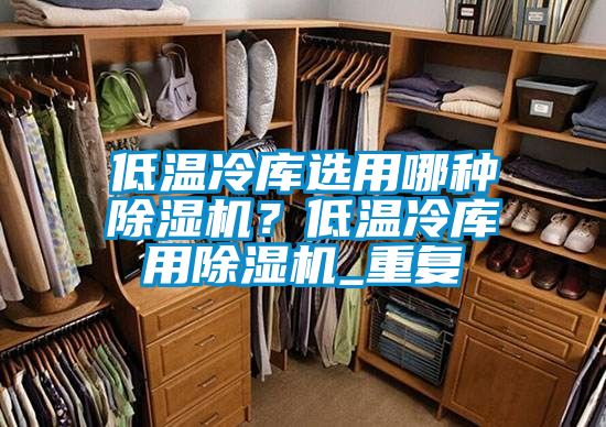低溫冷庫(kù)選用哪種除濕機(jī)？低溫冷庫(kù)用除濕機(jī)_重復(fù)