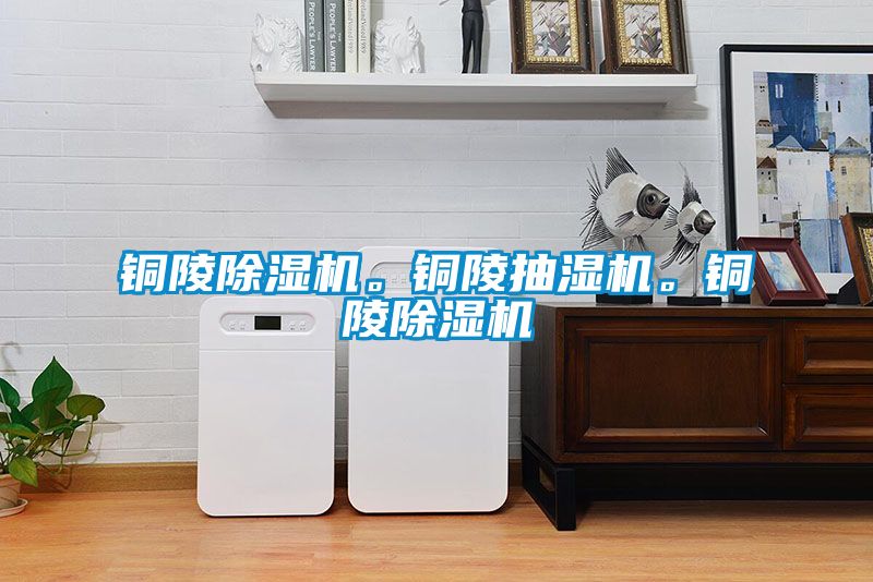 銅陵除濕機。銅陵抽濕機。銅陵除濕機