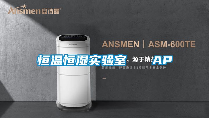 恒溫恒濕實(shí)驗(yàn)室 AP