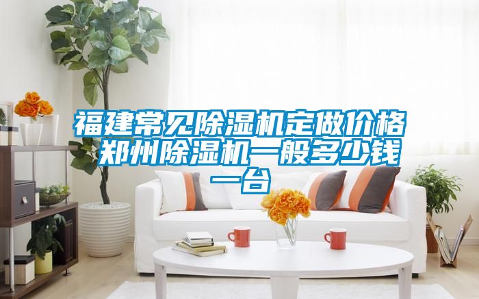 福建常見除濕機(jī)定做價格 鄭州除濕機(jī)一般多少錢一臺