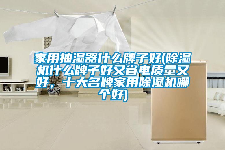 家用抽濕器什么牌子好(除濕機(jī)什么牌子好又省電質(zhì)量又好，十大名牌家用除濕機(jī)哪個(gè)好)