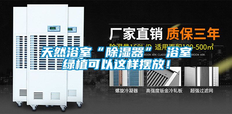 天然浴室“除濕器” 浴室綠植可以這樣擺放！