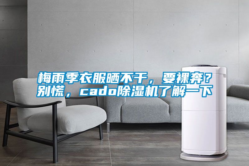 梅雨季衣服曬不干，要裸奔？別慌，cado除濕機了解一下