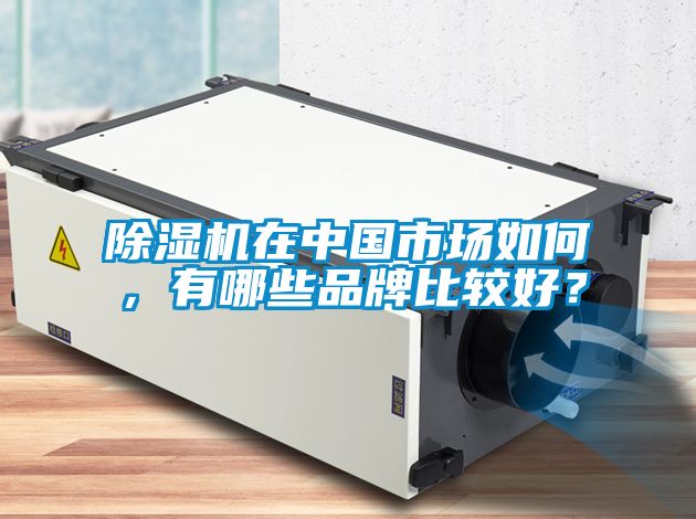 除濕機在中國市場如何，有哪些品牌比較好？
