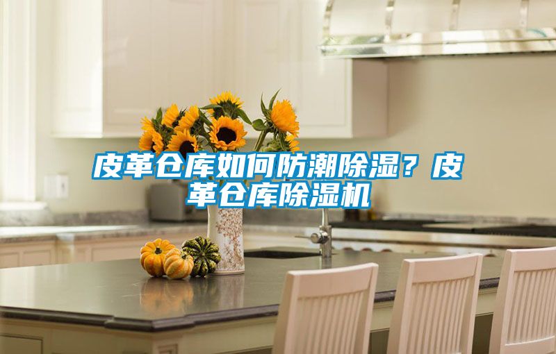 皮革倉(cāng)庫(kù)如何防潮除濕？皮革倉(cāng)庫(kù)除濕機(jī)