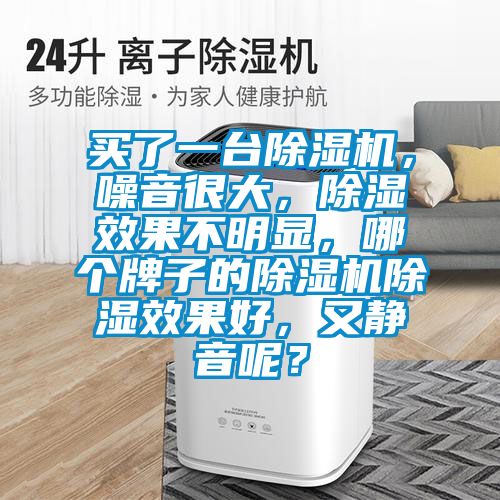 買了一臺除濕機，噪音很大，除濕效果不明顯，哪個牌子的除濕機除濕效果好，又靜音呢？