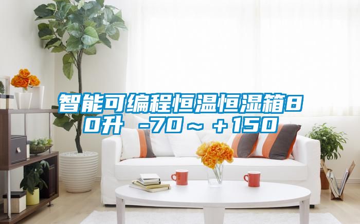 智能可編程恒溫恒濕箱80升 -70~+150℃