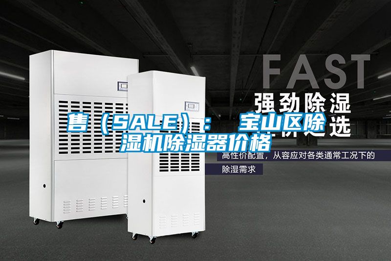 售(SALE): 寶山區(qū)除濕機(jī)除濕器價(jià)格