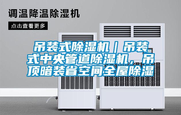 吊裝式除濕機｜吊裝式中央管道除濕機，吊頂暗裝省空間全屋除濕