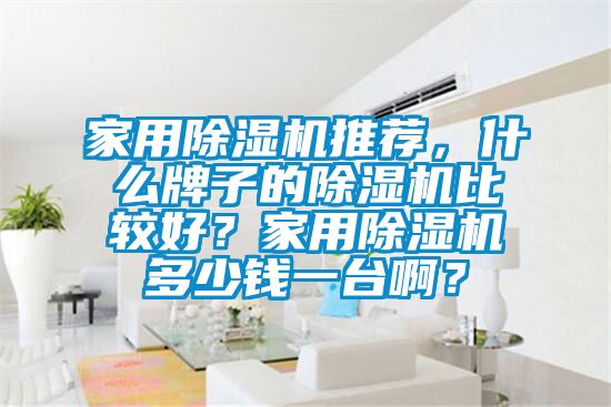 家用除濕機(jī)推薦，什么牌子的除濕機(jī)比較好？家用除濕機(jī)多少錢(qián)一臺(tái)??？
