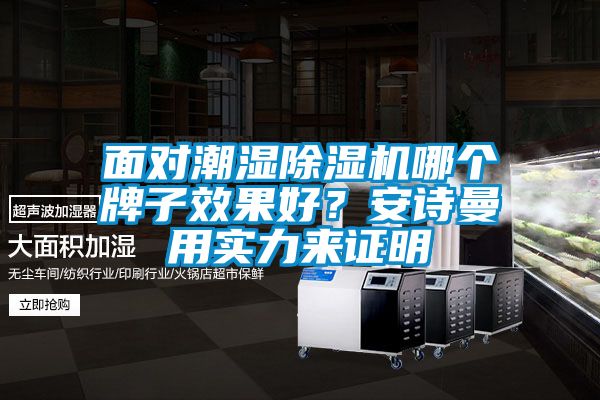 面對潮濕除濕機哪個牌子效果好？安詩曼用實力來證明